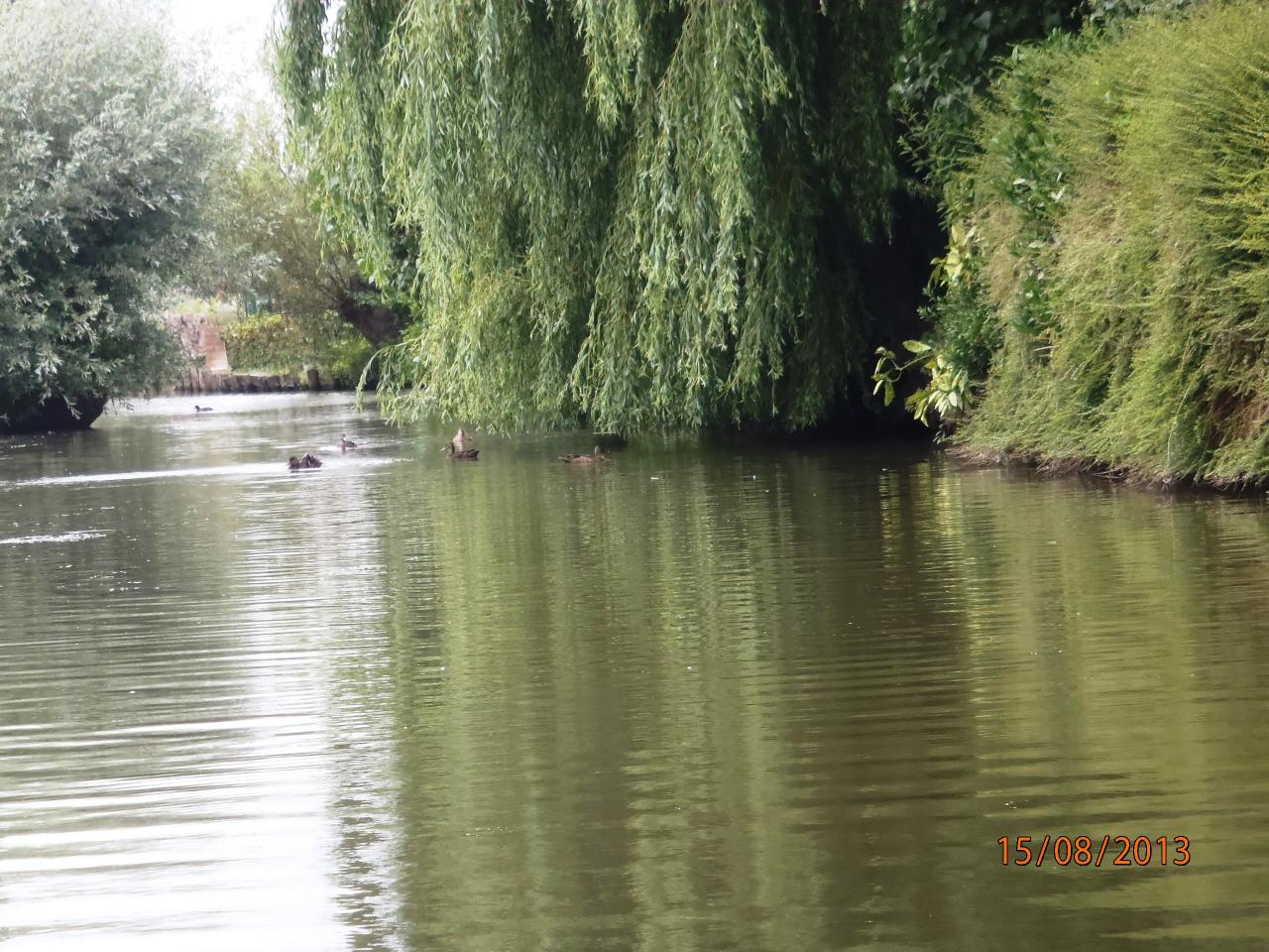 Vacances cote d'Opale 08 2013 135
