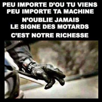 signe